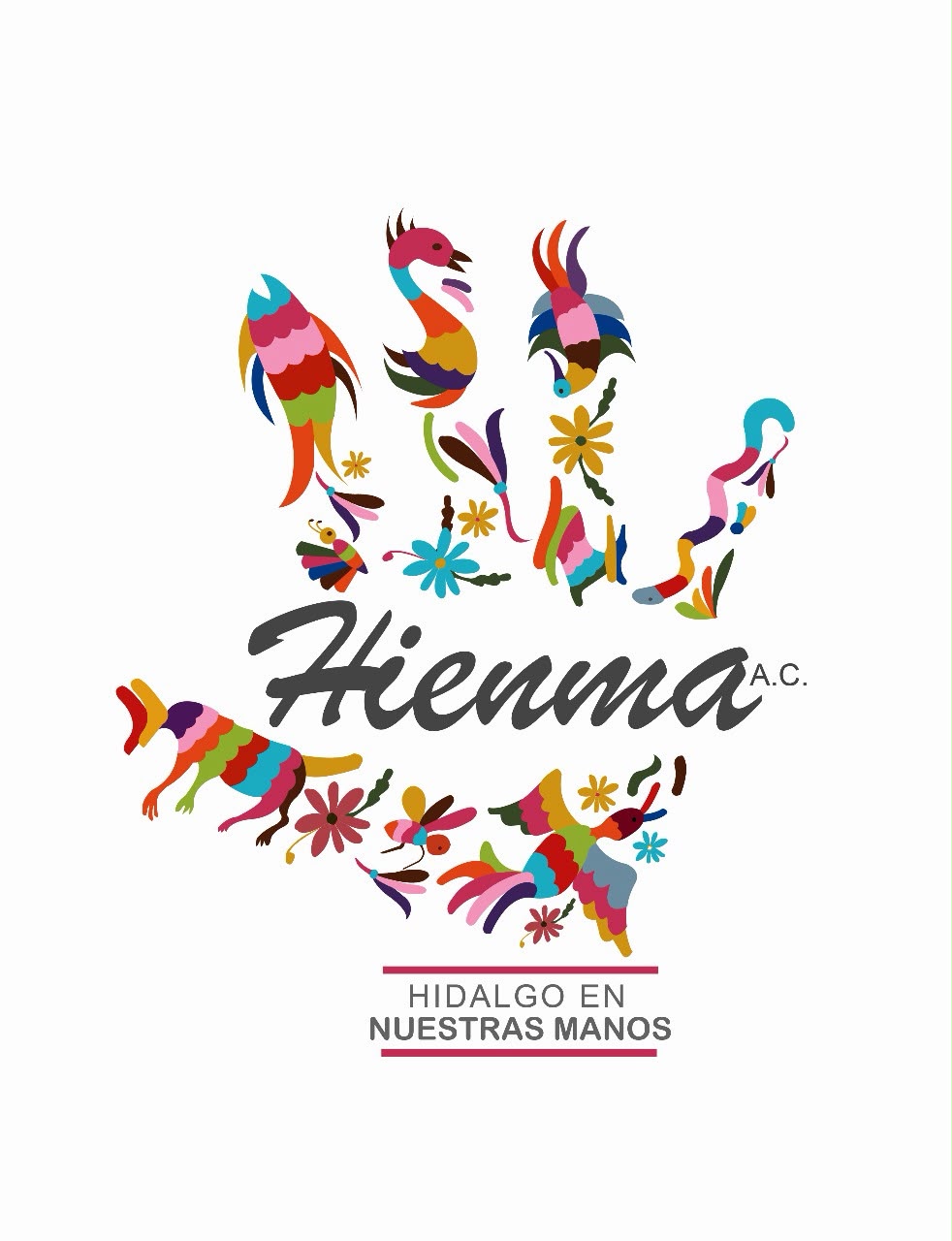 Hienma A.C. - Hidalgo en Nuestras Manos